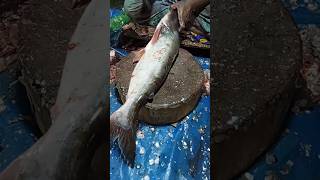 Satisfying Fish Cutting 😍#fishcutting #satisfying #shorts #livevideo #viral
