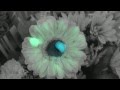 Turnstile - Drop [Official Video]