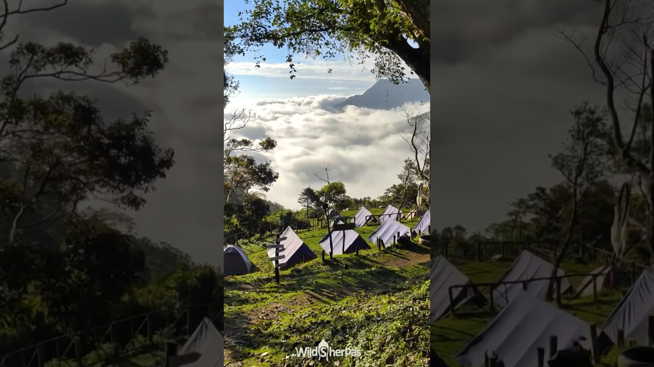 Have you SEEN THIS BEFORE?? Wildsherpas | camping | 