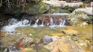Original Petualangan Mencari Emas Ke Hutan Sumatera Indonesia D Prospecting D Hunter