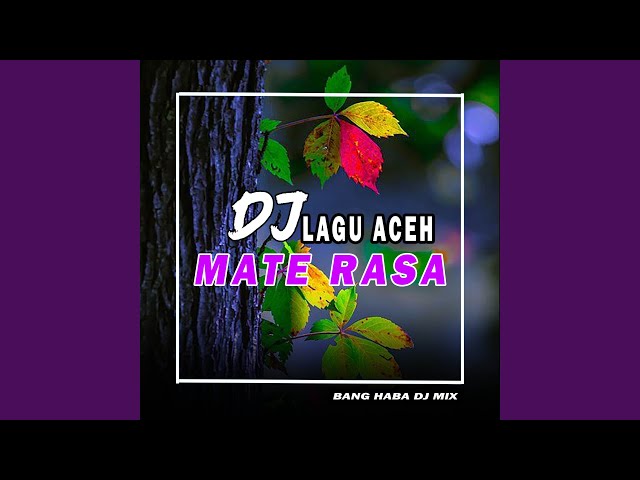 DJ Mate Rasa (Remix Aceh) class=