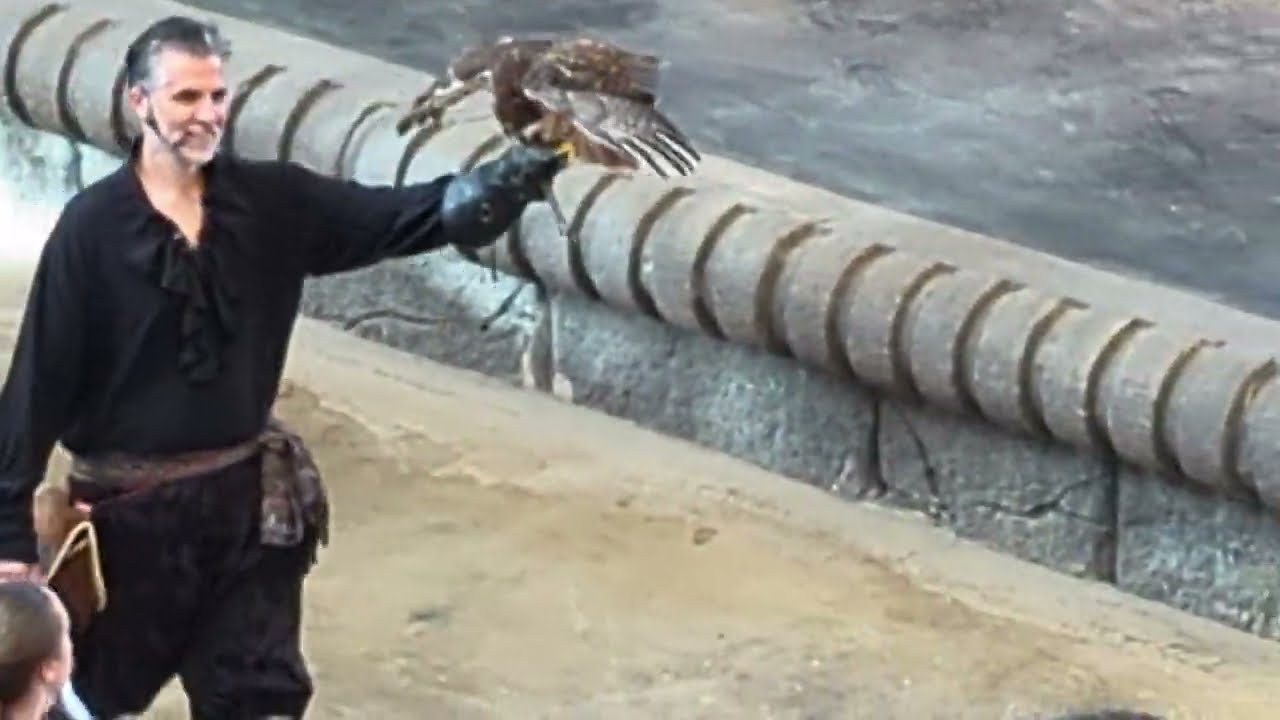 Isla Mágica - El legado del halcón