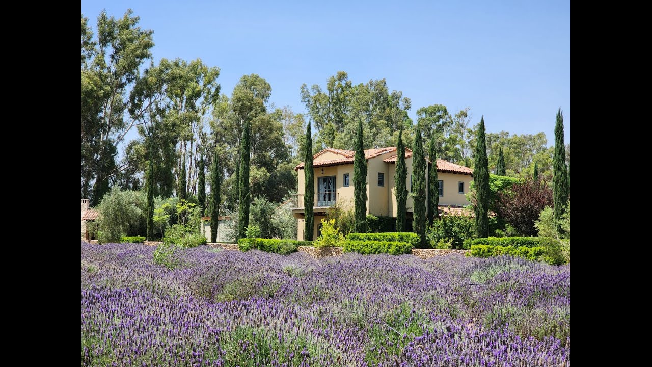 Visita guiada por Casa Las Nubes dentro de La Santísima Trinidad (Vendida)