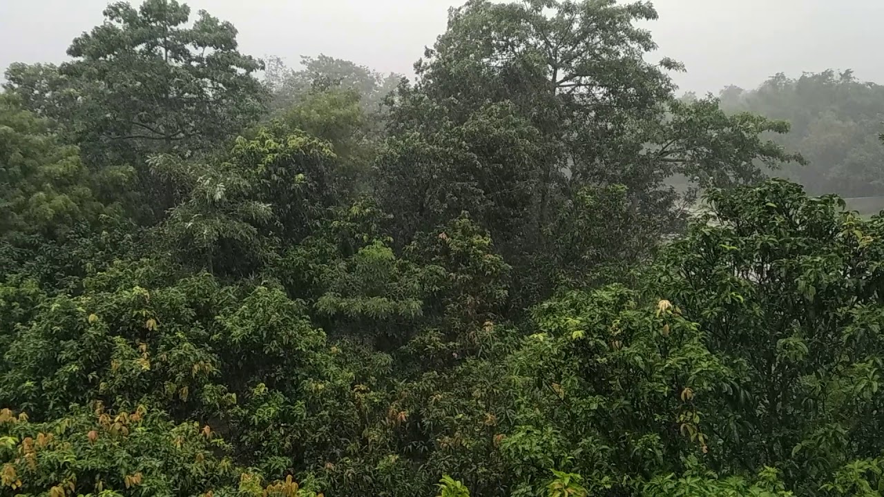 Rainy day in India - YouTube