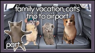 PART 1 !Cat family road trip to airport! -silly cat stories- PART 1