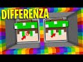 RIESCI A TROVARE LE DIFFERENZE su MINECRAFT?
