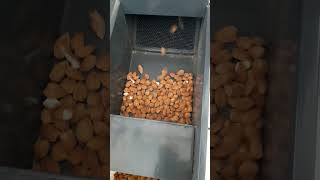 Máquina peladora de almendras (variedades duras y semi duras)