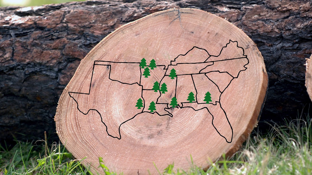 USDA, Forest Service reorganization plan casts shadow over future