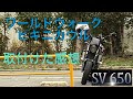 【SV650】ワールドウォークのビキニカウル取付けた感想