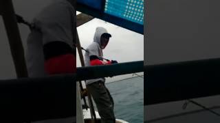 Kucir Cikubang Bojonegara...Pancen Ngeten