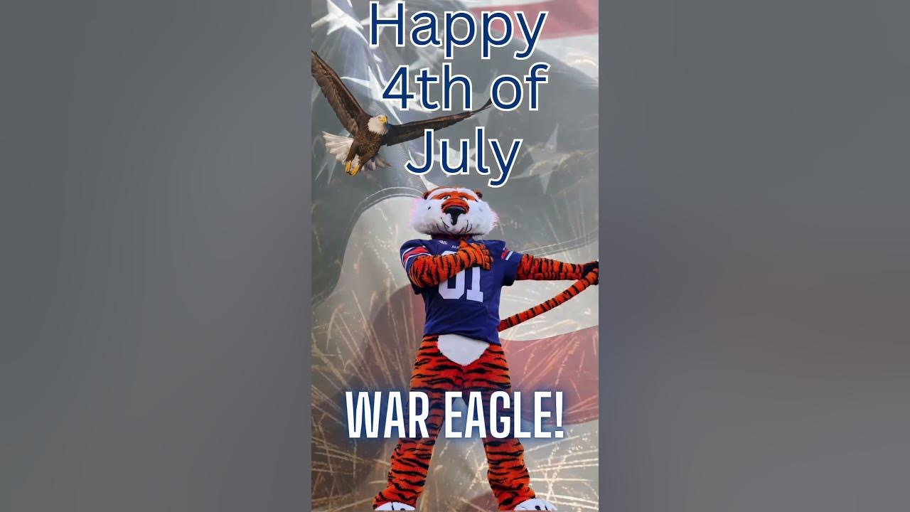 auburn fireworks july 4th