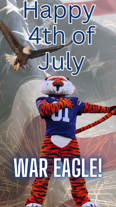 auburn fireworks july 4th
