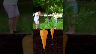 Who Actually Won? The Best From Tiktok By Tiktoriki
