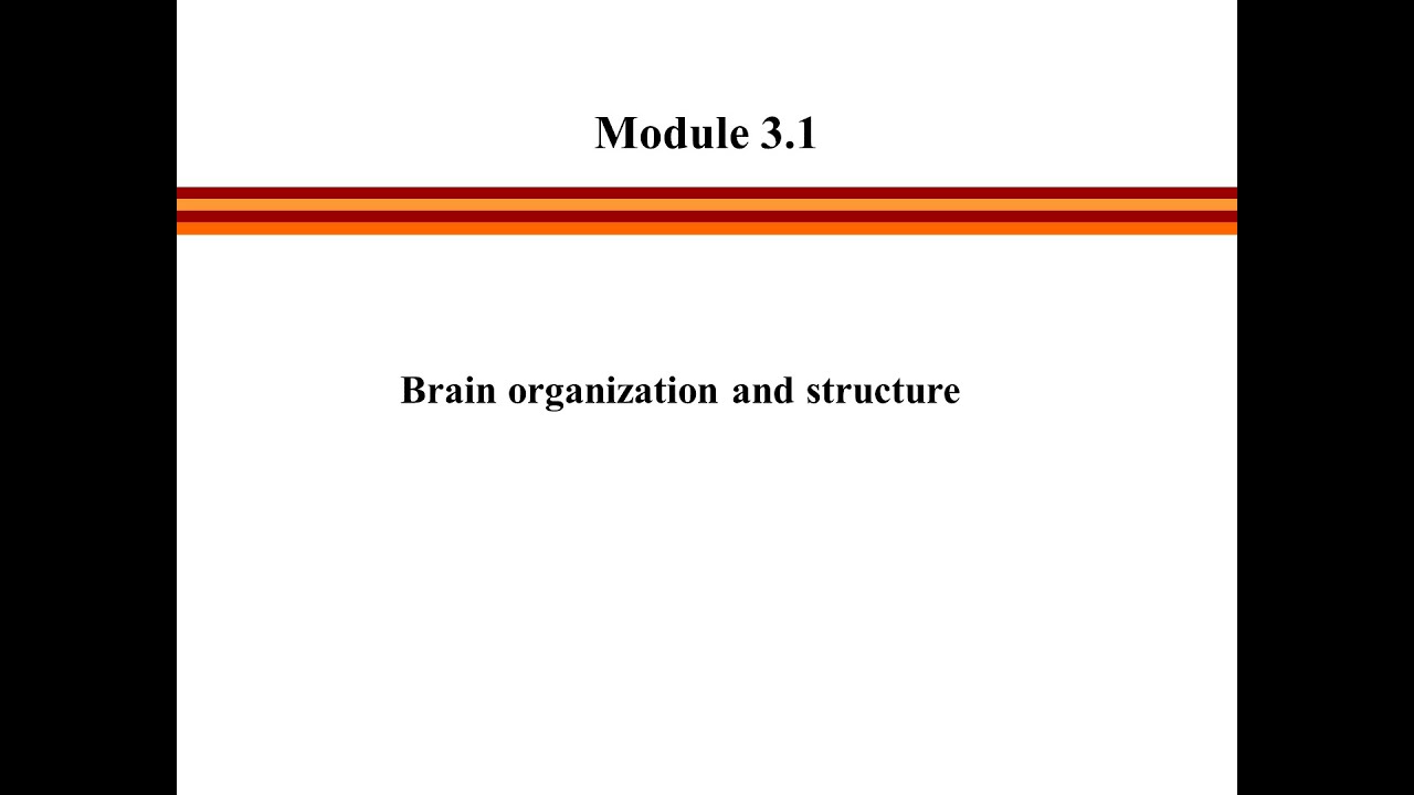 Module 3 Sense 1 module3seg1NEW - YouTube