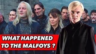 What Happened To The Malfoys After The War ? (Lucius Malfoy, Narcissa Malfoy And Draco)