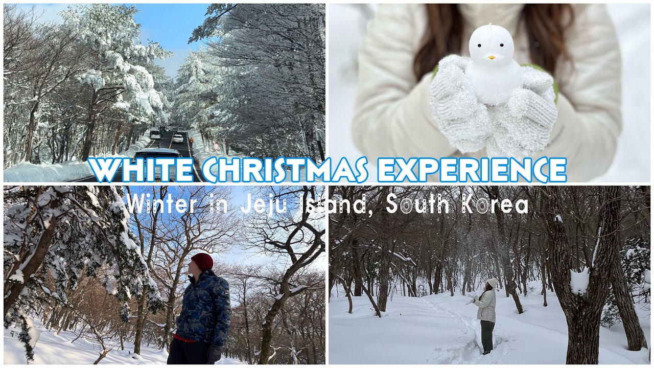 Jeju Travel Vlog | White Christmas in Jeju Island, South Korea | Winter Holiday | Silent Vlog