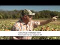 Michigan farmer George Hemmeter's pumpkin farm