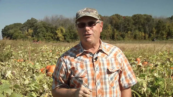 Michigan farmer George Hemmeter's pumpkin farm