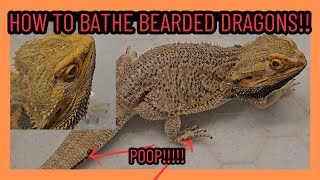 HOW TO GIVE YOUR BEARDED DRAGON A BATH! WILL HE TRY TO POOP ON ME?