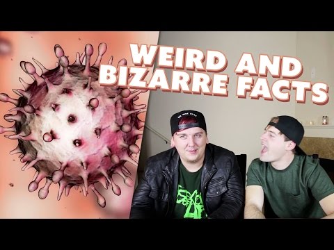 WEIRD AND BIZARRE FACTS