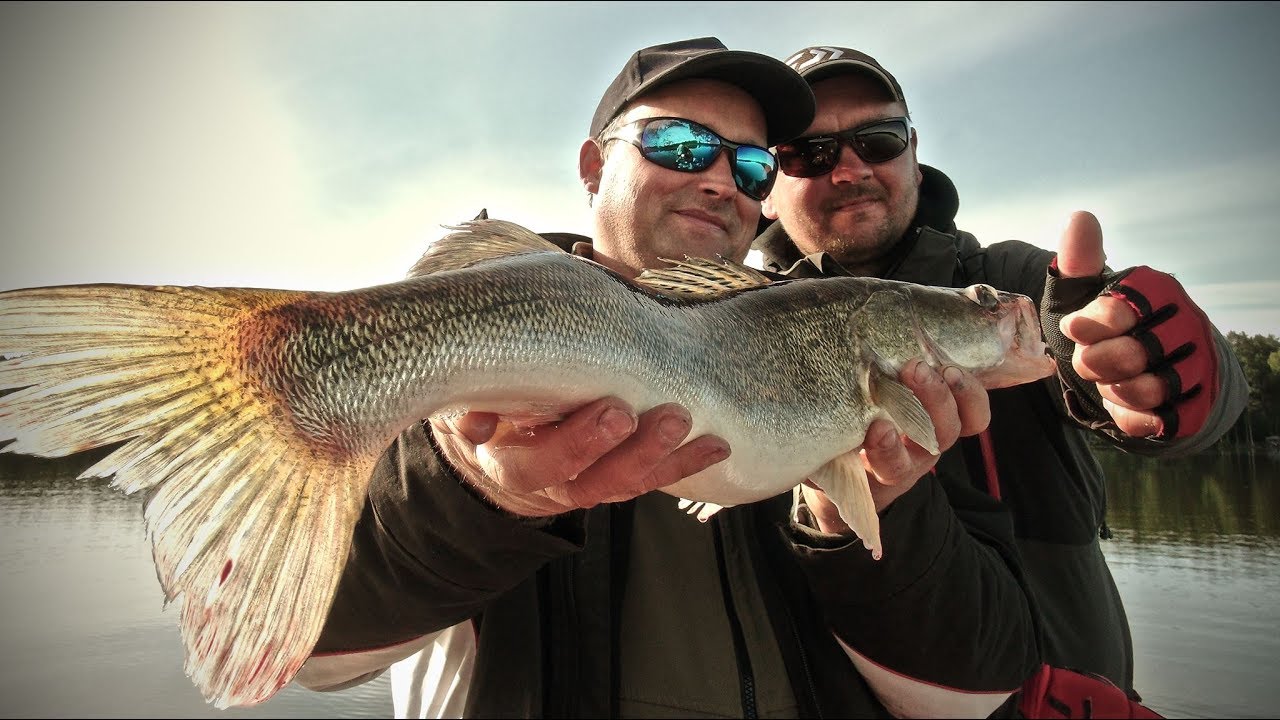 Apie žūklę 2017 07 15. Starkių žūklė ežeruose. Džigas.