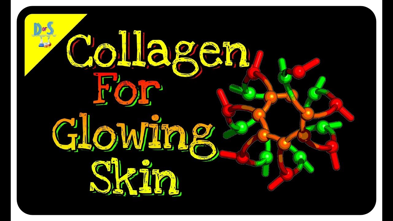 What is Collagen Protein for Skin In hindi Structure, Function and