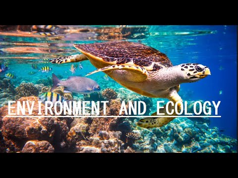 Environment And Ecology Part 1 || Hindi || By Vikash Shakya 