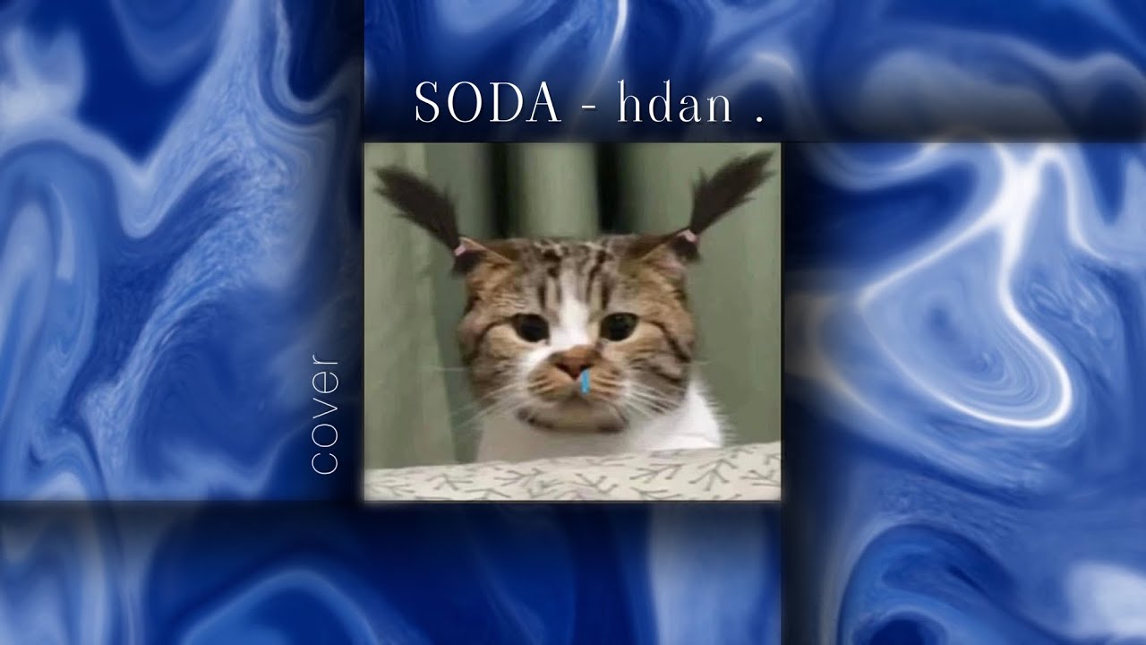 Hdan SODA - hdan cover - YouTube