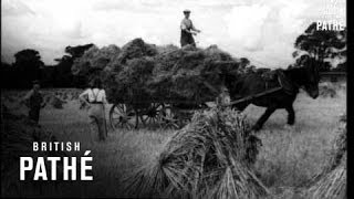 Harvest Time (1948-1960)