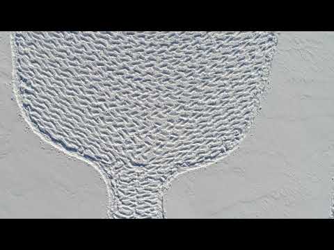 Simon Beck - Schneegemälde in Böckstein