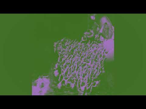 Moderator - Cut to Black