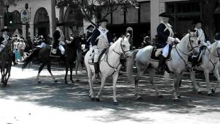 Santa Barbara Parade w War Horse 089.AVI
