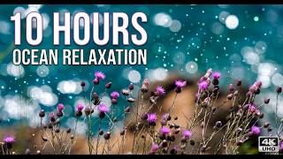 MOROCCAN COASTLINE 🌊 10 Hours of Shimmering Waves, Wildflowers & Calm Arabic Melodies | 4K UHD screenshot 4