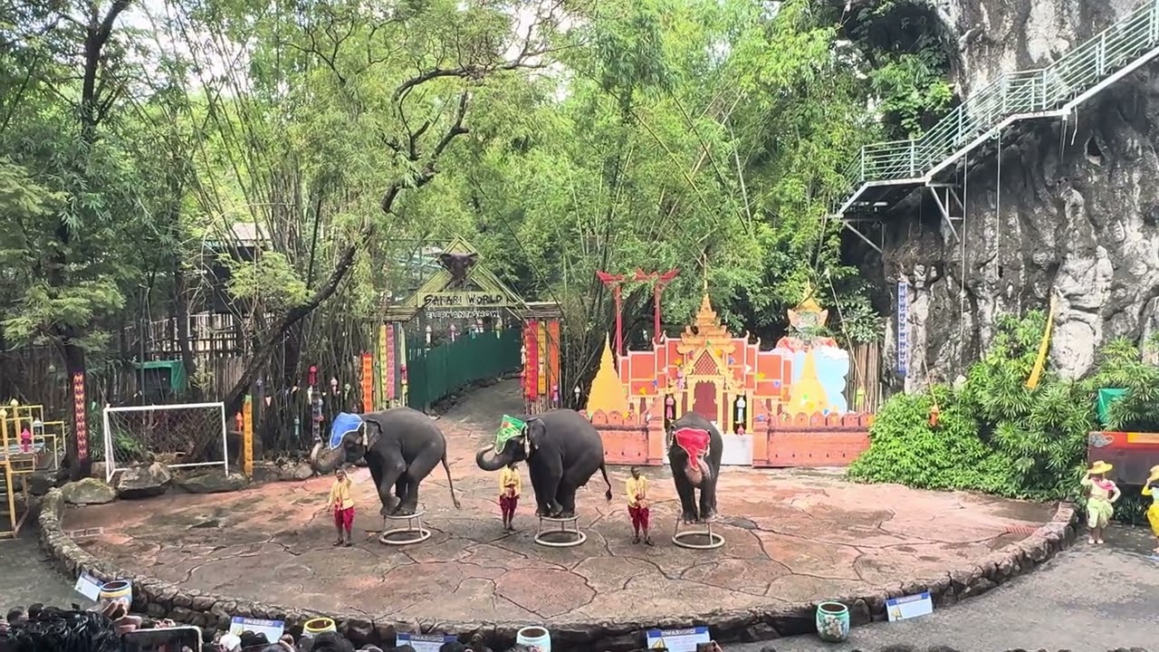 Thailand elephant show ✨ #thailandtravel #asiantravel 