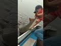 Ultimate River Monster set Free