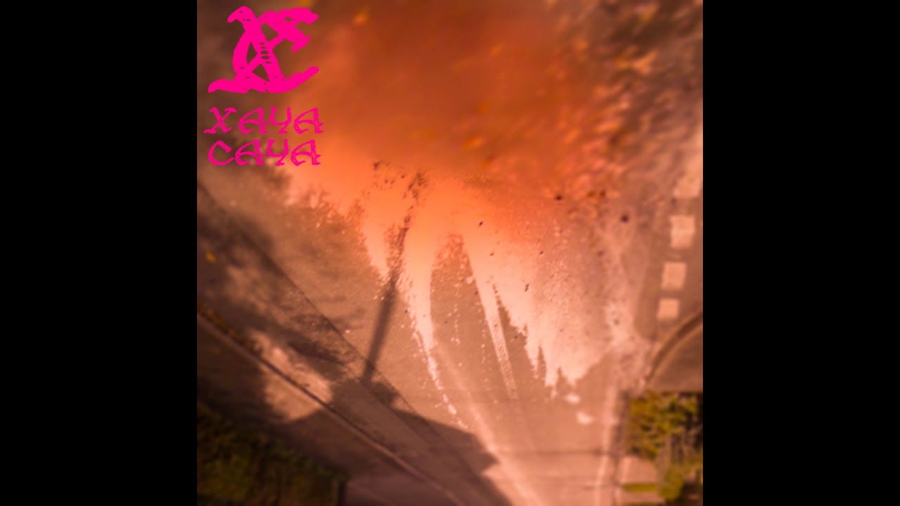 PARAOAN - Courgette And Drums (Xaya-Caya Recordings 2018)