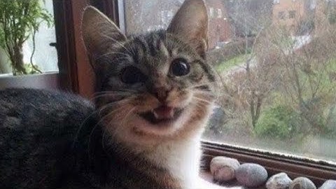 spawn to upper red roof reverse