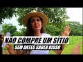 10 COISAS QUE VOCÊ PRECISA SABER ANTES DE COMPRAR O SEU SÍTIO -  MANUAL BÁSICO P/ SE DAR BEM