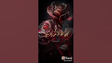 سورة النصر #القرآن_الكريم #القارئ  #الشيخ ماهر المعيقلي