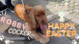 Easter weekend 🐣🌱 with a dog 🧡🐶 English Cocker Spaniel Robby by Robby Cocker 1,457 views 1 year ago 3 minutes, 42 seconds