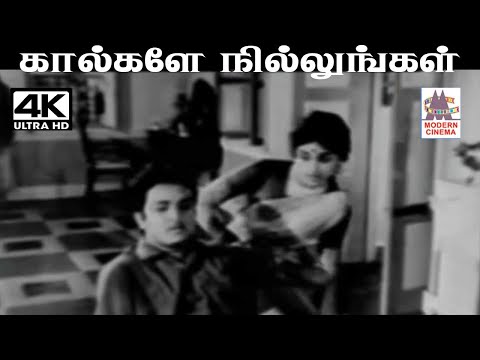 Kaalgale Nillungal Song Lyrics on YouTube