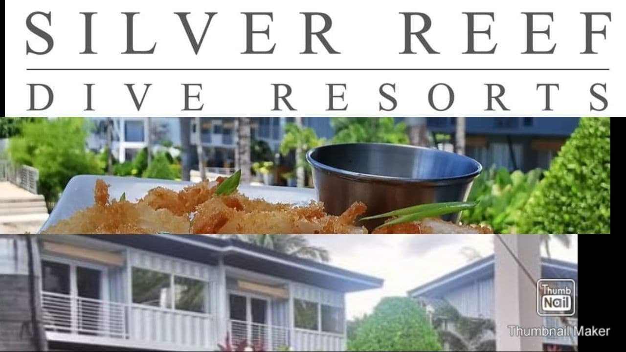 Silver Reef Dive Resort Dauin Negros Oriental