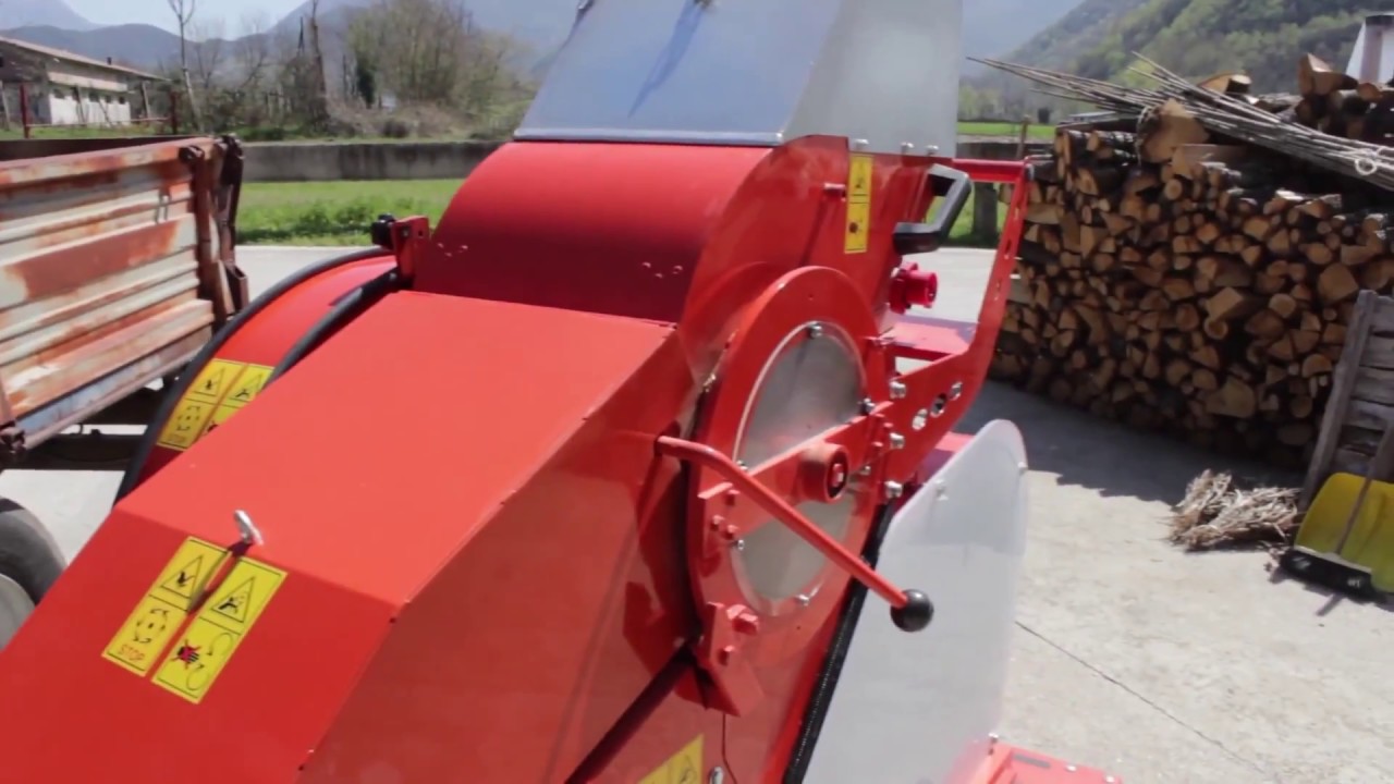 Produzione e Trebbiatura fagiolo di Atina con Trebbiatrice CICORIA Plot 2375