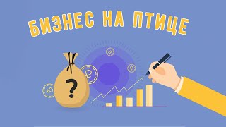 БИЗНЕС НА ПТИЦЕ/СКОЛЬКО Я ЗАРАБОТАЛА НА САМОДЕЛЬНОМ ИНКУБАТОРЕ