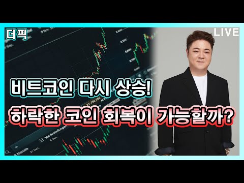   하락한 코인 회복이 가능할까 비트코인 알트코인 분석