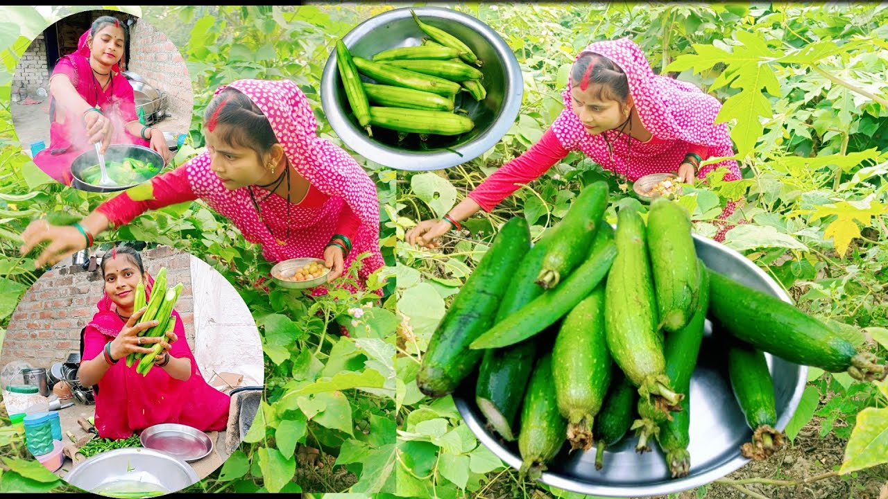 First fry the Ridge Gourd in Oil, Then add Homemade Spices to it, Here is the Tasty Recipe Ready |