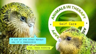 Self-care ft. Kakapo | Animals in Therapy | Studio BlueGreen