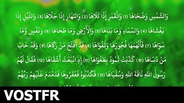 Sourate Ach-Chams | Ach-Chatri (91) سورة الشمس | ابو بكر الشاطري