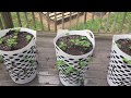 DIY Laundry Basket Strawberry Crate Tower | Asiyah's Plant Life