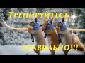 3 ошибки начинающего лыжника